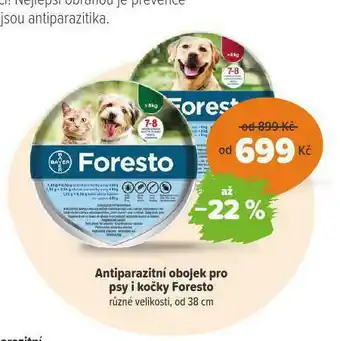 Pet Center Antiparazitní oboojek pro kočky foresto nabídka