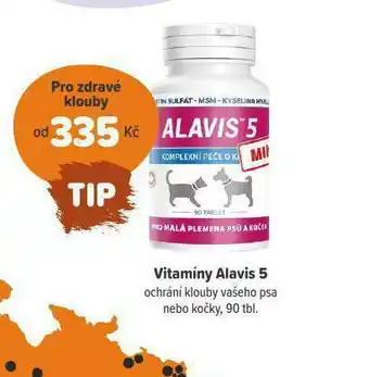 Vitaminy alavis 5