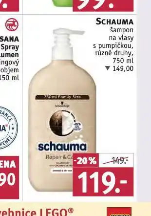 Rossmann Schauma šampon nabídka