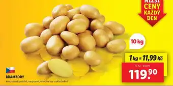 Lidl Brambory konzumní pozdní nabídka