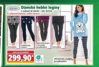 Norma Dámské hebké legíny nabídka