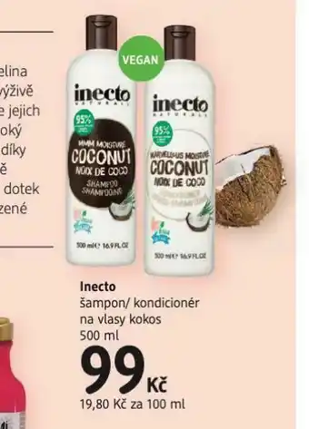 dm drogerie Inecto šampon / kondicioner nabídka
