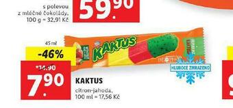 Lidl Kaktus nabídka