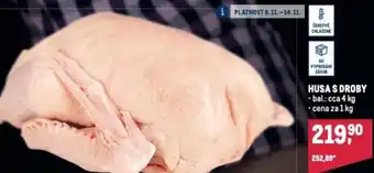 Makro HUSA S DROBY nabídka