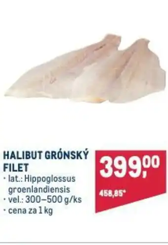 Makro HALIBUT GRÓNSKÝ FILET nabídka