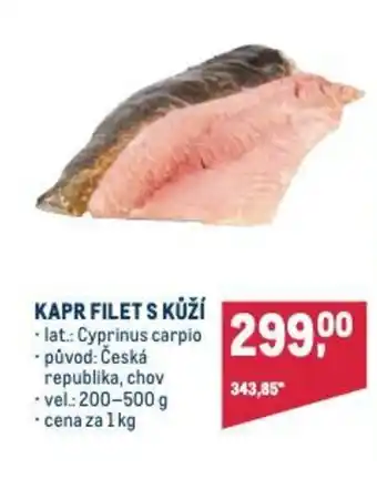Makro KAPR FILET S KŮŽÍ nabídka