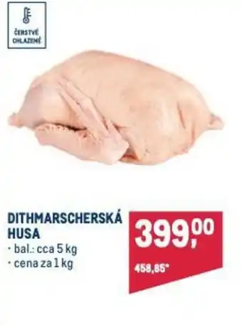 Makro DITHMARSCHERSKÁ HUSA nabídka