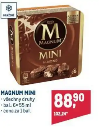 Makro MAGNUM MINI nabídka