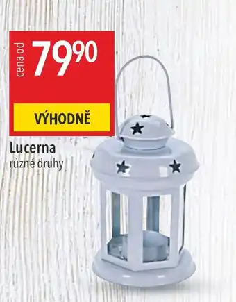 Lucerna různé druhy