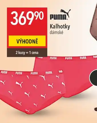 Globus Kalhotky dámské nabídka