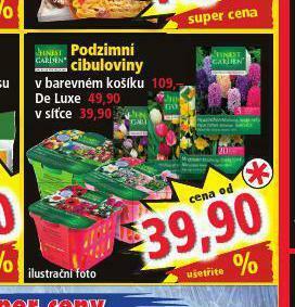 Norma Podzimní cibuloviny nabídka