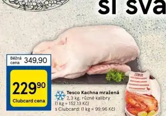 Tesco Kachna mražená nabídka