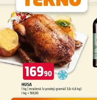 Terno Husa nabídka