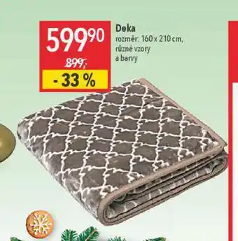 Globus Deka nabídka