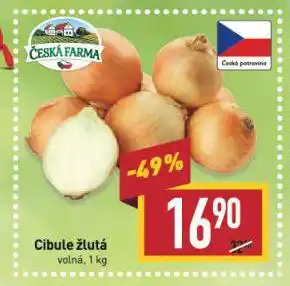 Billa Cibule žlutá nabídka