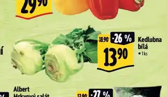 Albert Kedlubna nabídka