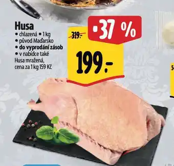 Albert Husa nabídka