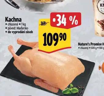 Albert Kachna nabídka