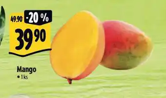 Albert Mango nabídka