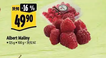 Albert Maliny nabídka
