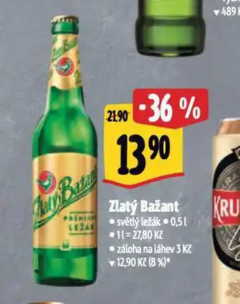 Albert Pivo zlatý bažant nabídka