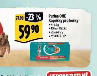 Albert Purina one kapsičky pro kočky nabídka