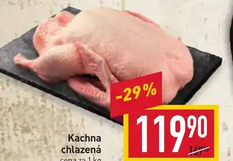 Billa Kachna chlazená cena za 1 kg nabídka