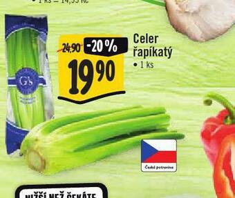 Jip Celer řapíkatý nabídka