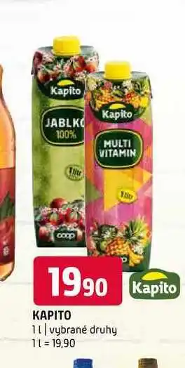Terno Kapito 1 l nabídka