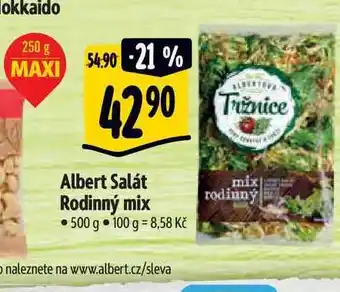 Albert Albert salát rodinný mix 500 g nabídka