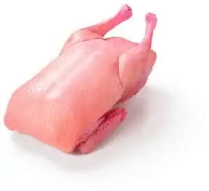 Albert Kachna chlazená 1kg nabídka