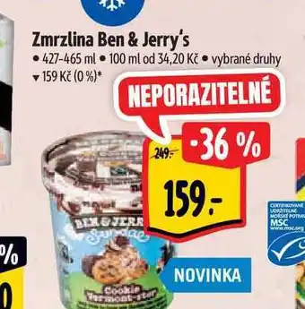 Albert Zmrzlina ben & jerry's 427-465 ml nabídka