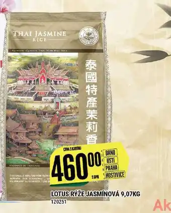 Tamda Foods Lotus rýže jasmínová 9,07kg nabídka