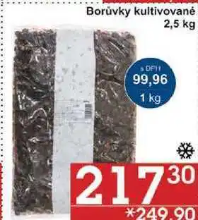 Jip Borůvky kultivované, 2,5 kg nabídka