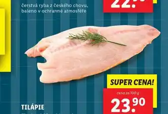 Lidl Tilápie nabídka