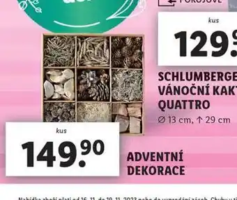 Lidl Adventní dekorace nabídka