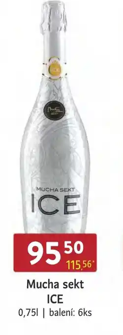 Qanto Mucha sekt ICE nabídka