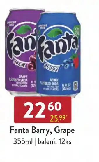 Qanto Fanta Barry, Grape 355ml nabídka