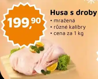 Husa s droby