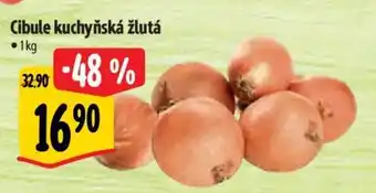Albert Cibule kuchyňská žlutá nabídka