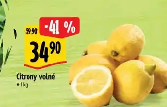 Albert Citrony volné nabídka