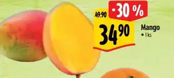 Albert Mango nabídka