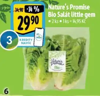 Albert Nature's Promise Bio Salát little gem nabídka