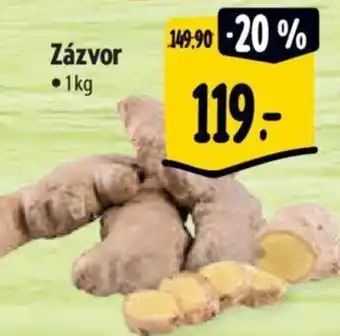 Albert Zázvor nabídka