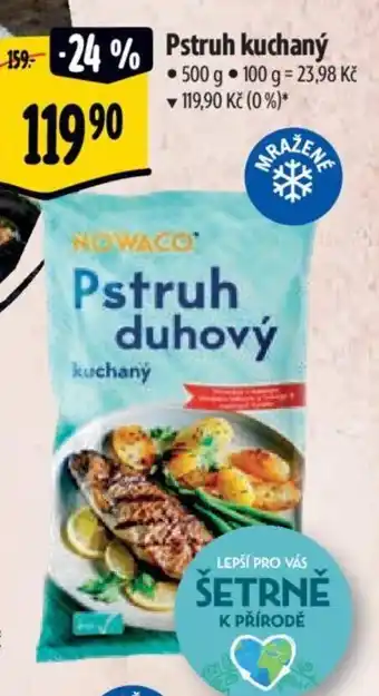 Albert Pstruh duhový nabídka