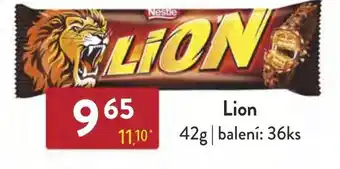 Qanto Lion nabídka