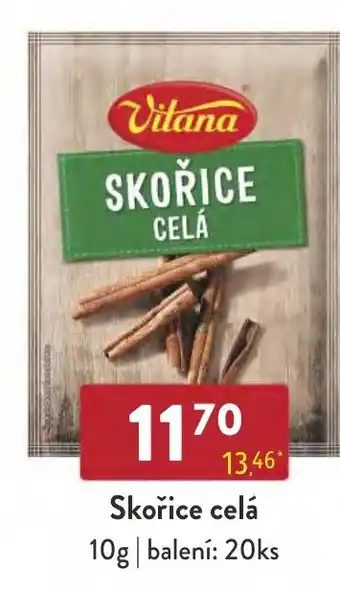 Qanto Skořice celá nabídka