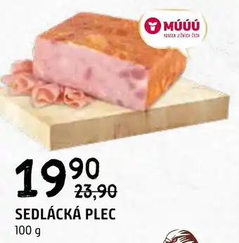 Terno SEDLÁCKÁ PLEC 100 g nabídka