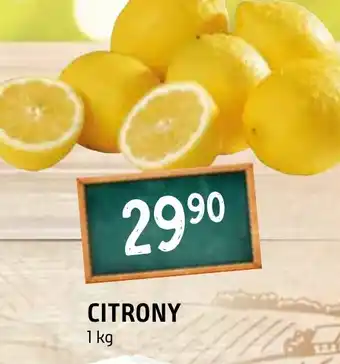 Terno CITRONY nabídka