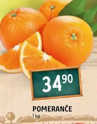 Terno POMERANČE nabídka